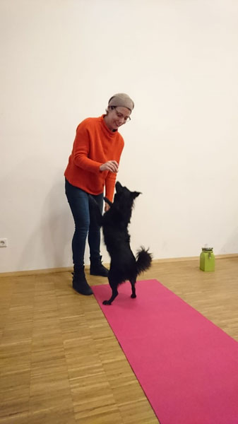 Mitmachworkshop Hundephysiotherapie am 24.11.2018 im Gesundheitshaus Münster