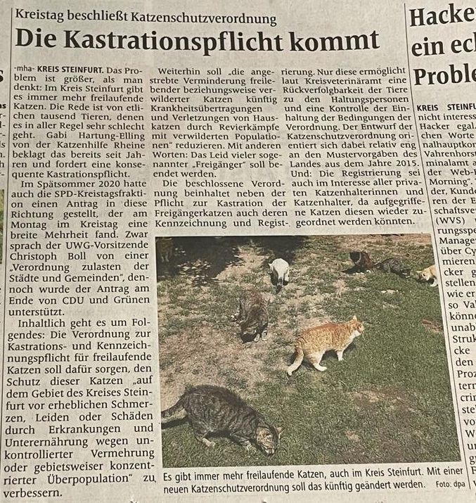 Katzenschutzverordnung im Kreis Steinfurt
