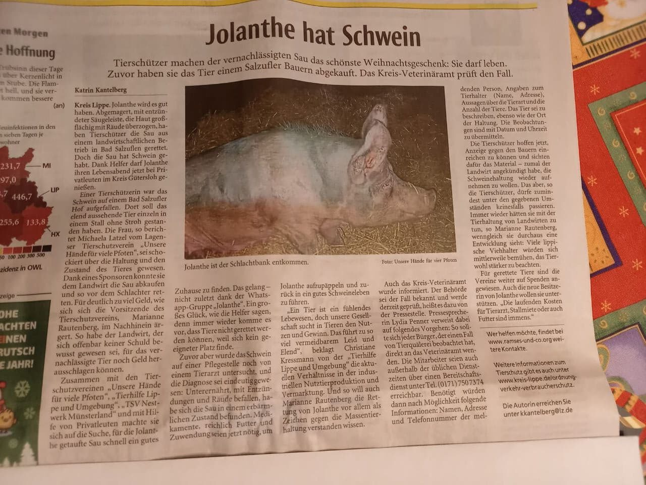 Jolanthe hat Schwein – Zeitungsartikel