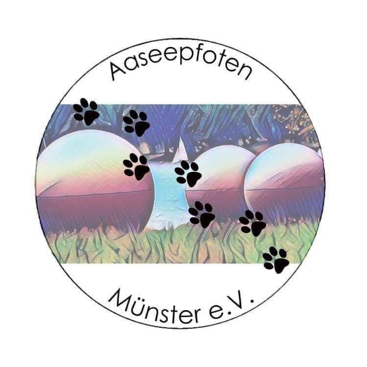 Kooperation mit den Aaseepfoten Münster e.V.