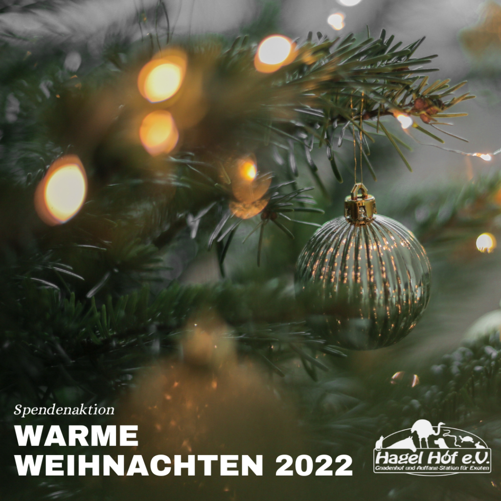 Nestwerk-Spendenaktion Warme Weihnachten 2022