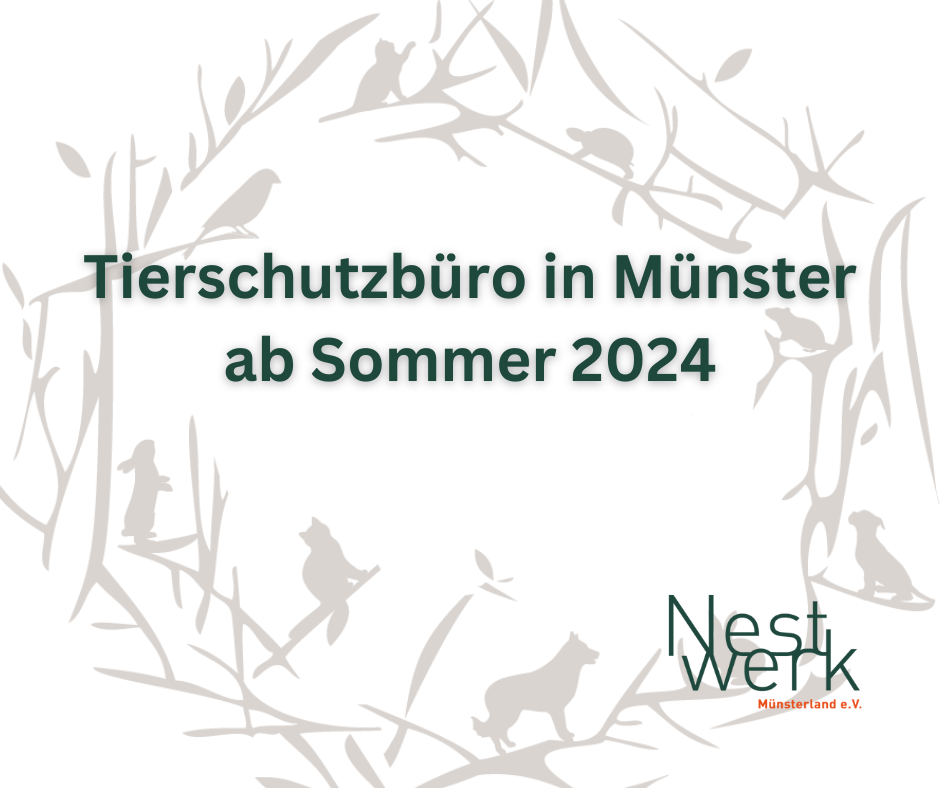 Tierschutzbüro in Münster ab Sommer 2024